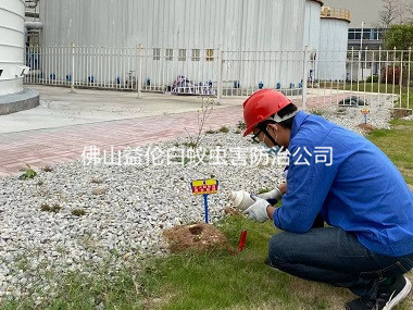 西樵工业厂区红火蚁防治