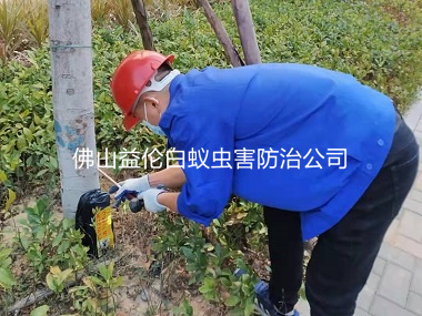 南海丹灶翰林湖生态公园灭白蚁