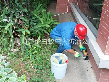 三水施药灭鼠工程